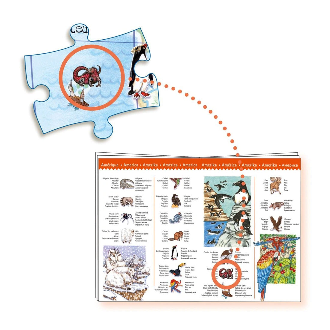Wimmelpuzzle: Tiere der Erde - 100 Teile
